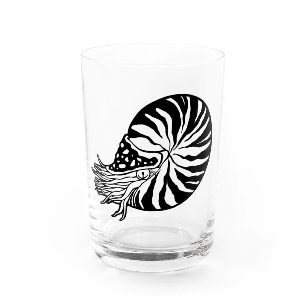 モリタミナミのオウムガイ Water Glass :front