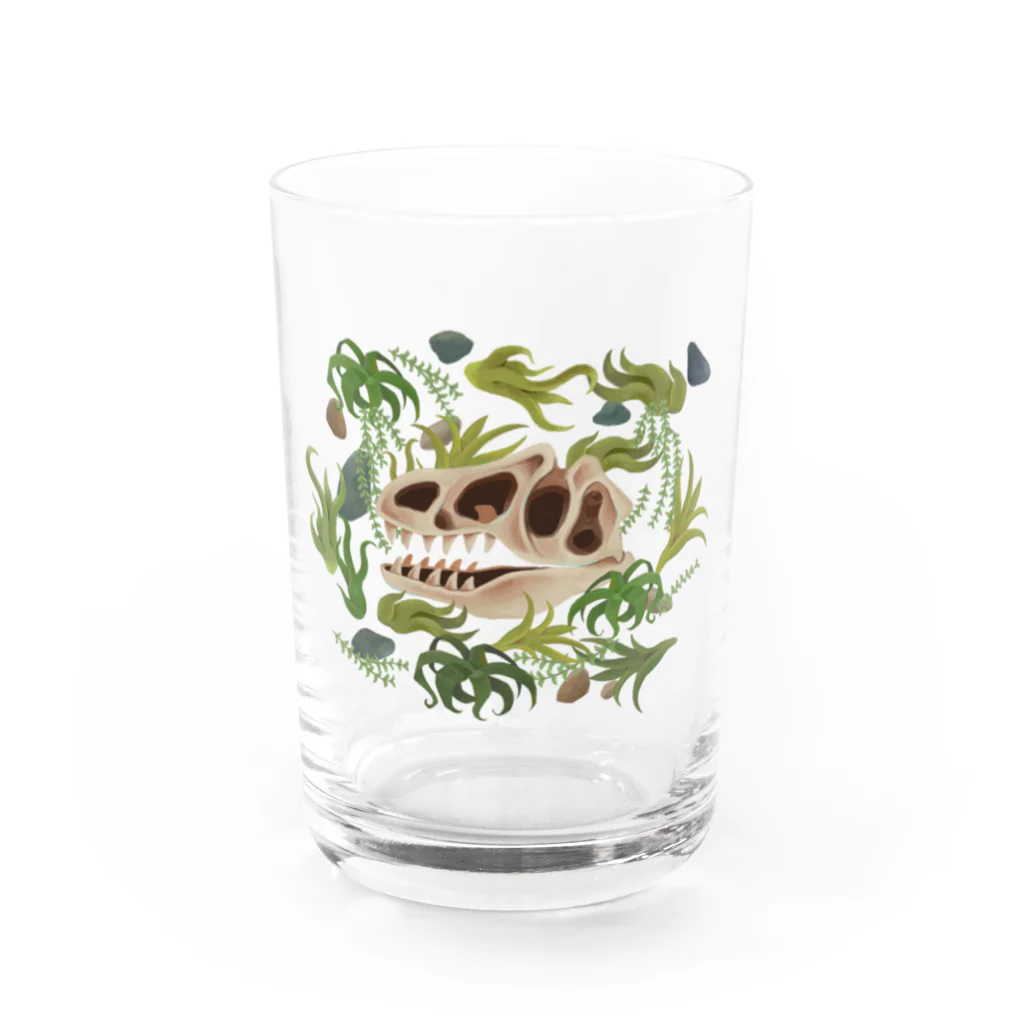 あおきさくらのアロサウルス頭骨 Water Glass :front