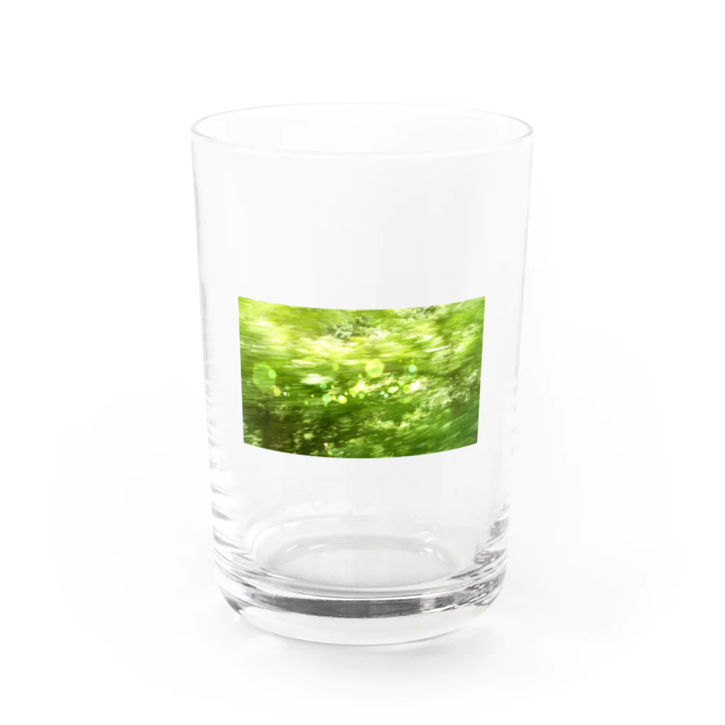 やまとねこの森へ（きらきら） Water Glass :front