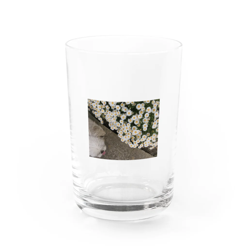 she is meのshe is u(実写版) Water Glass :front