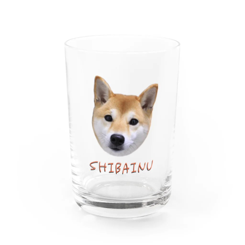 kawaii柴犬のkawaii柴犬・改 Water Glass :front