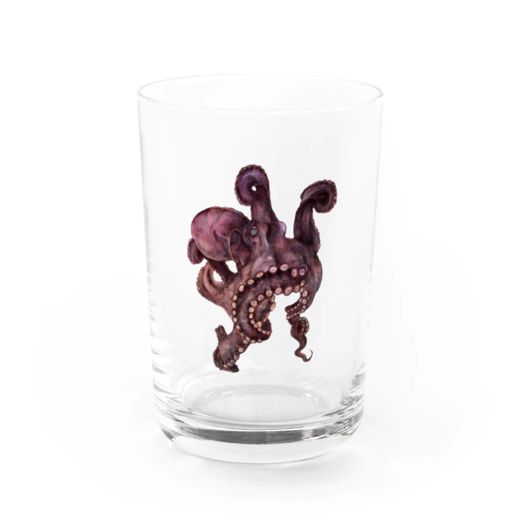 chiyokomeyaの octopus Water Glass :front