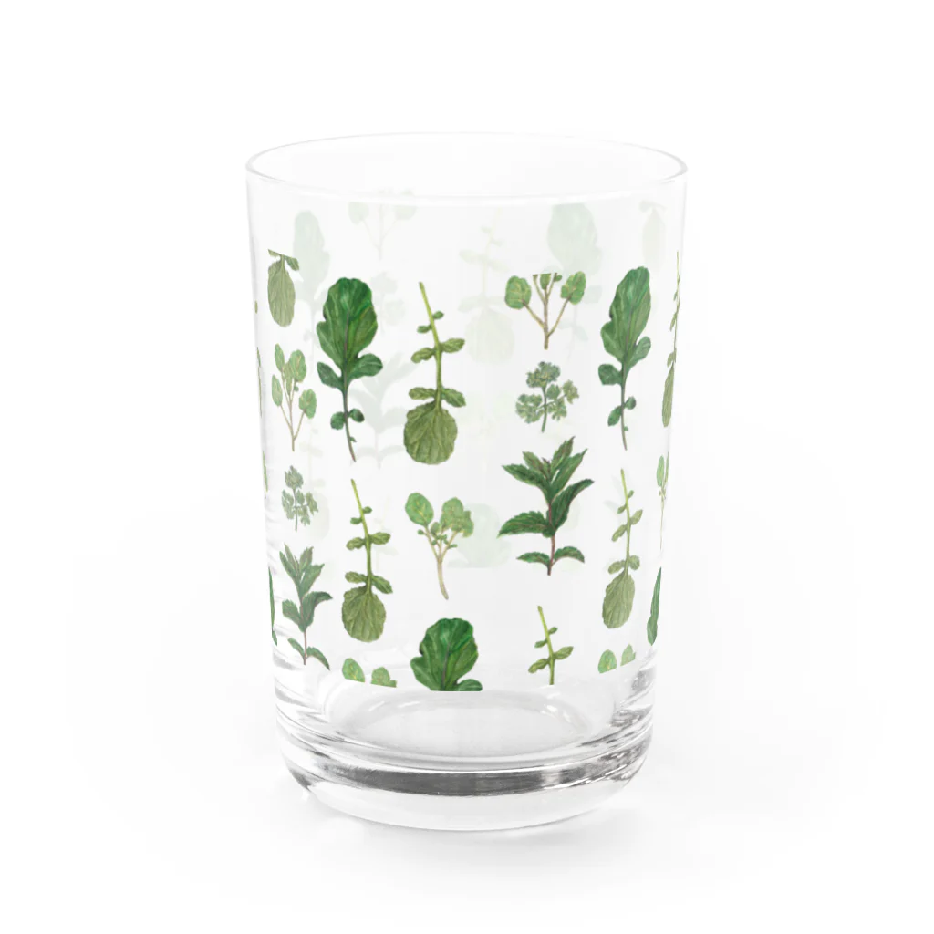 いいだ あやかのherb Water Glass :front