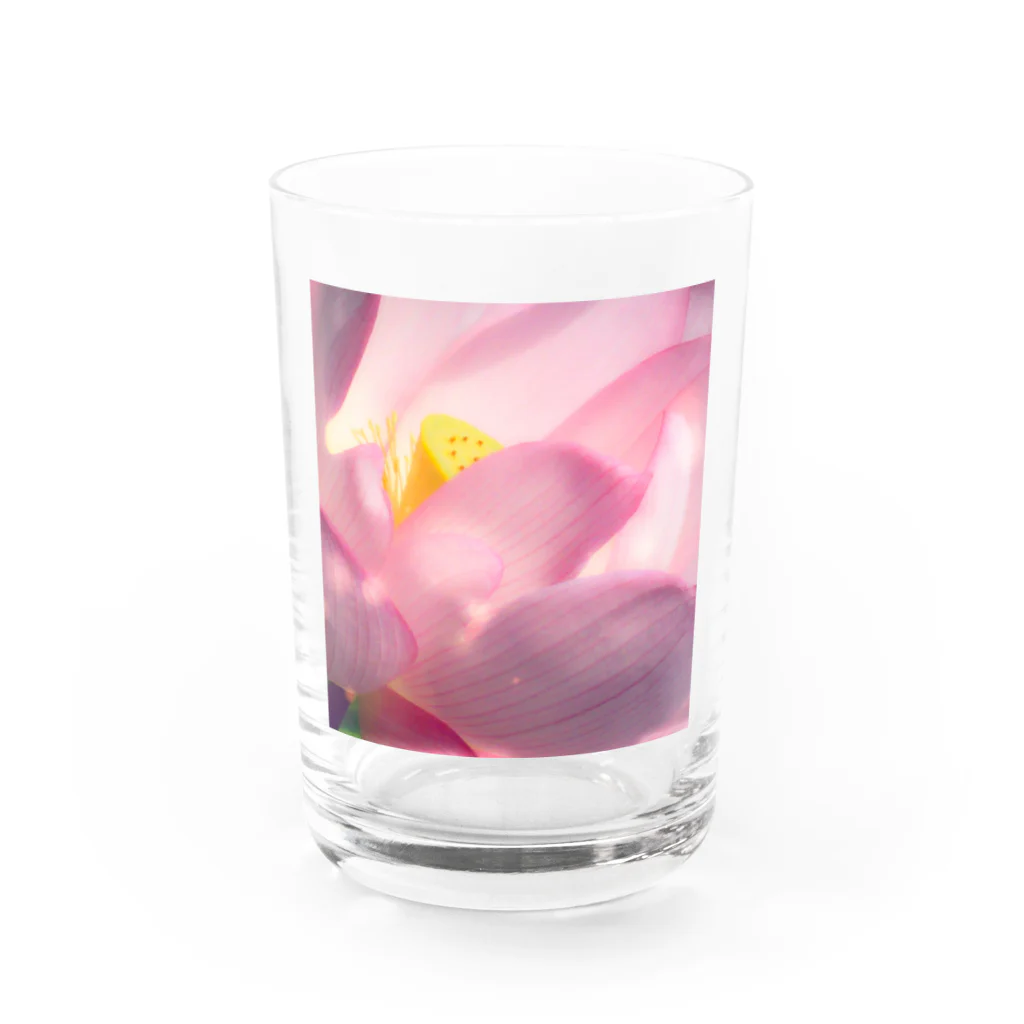 suparnaの蓮の花咲くとき Water Glass :front