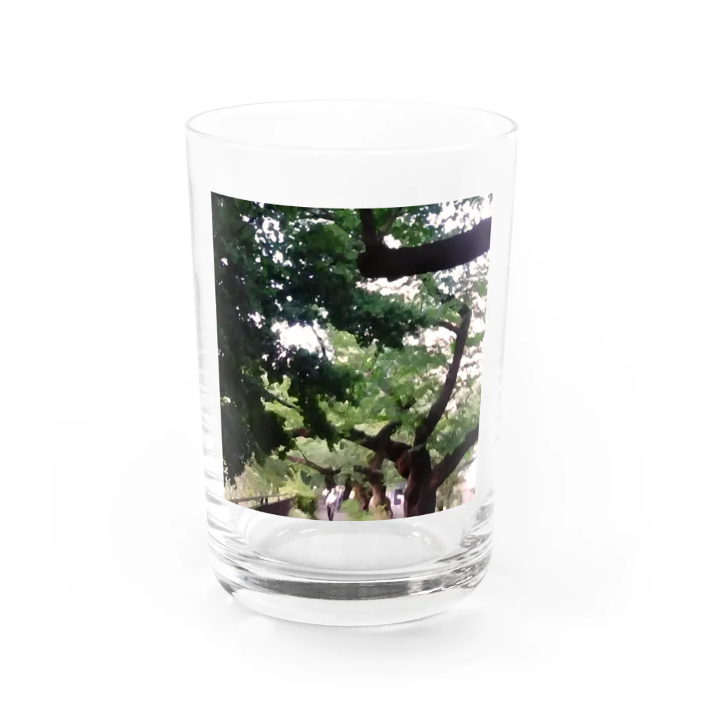 やまとねこの散歩道 Water Glass :front