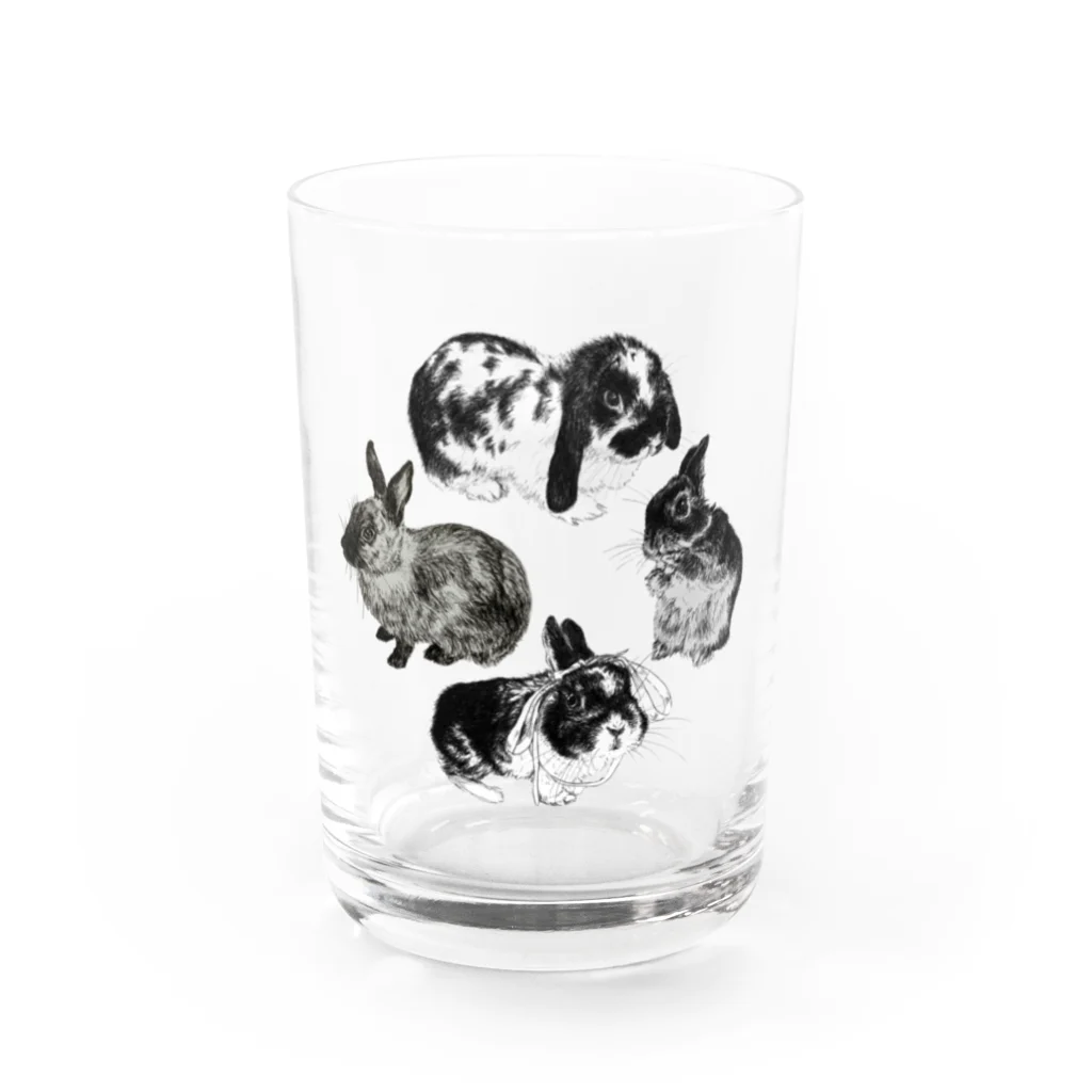 Gallery Neperoのうさぎ環 Water Glass :front