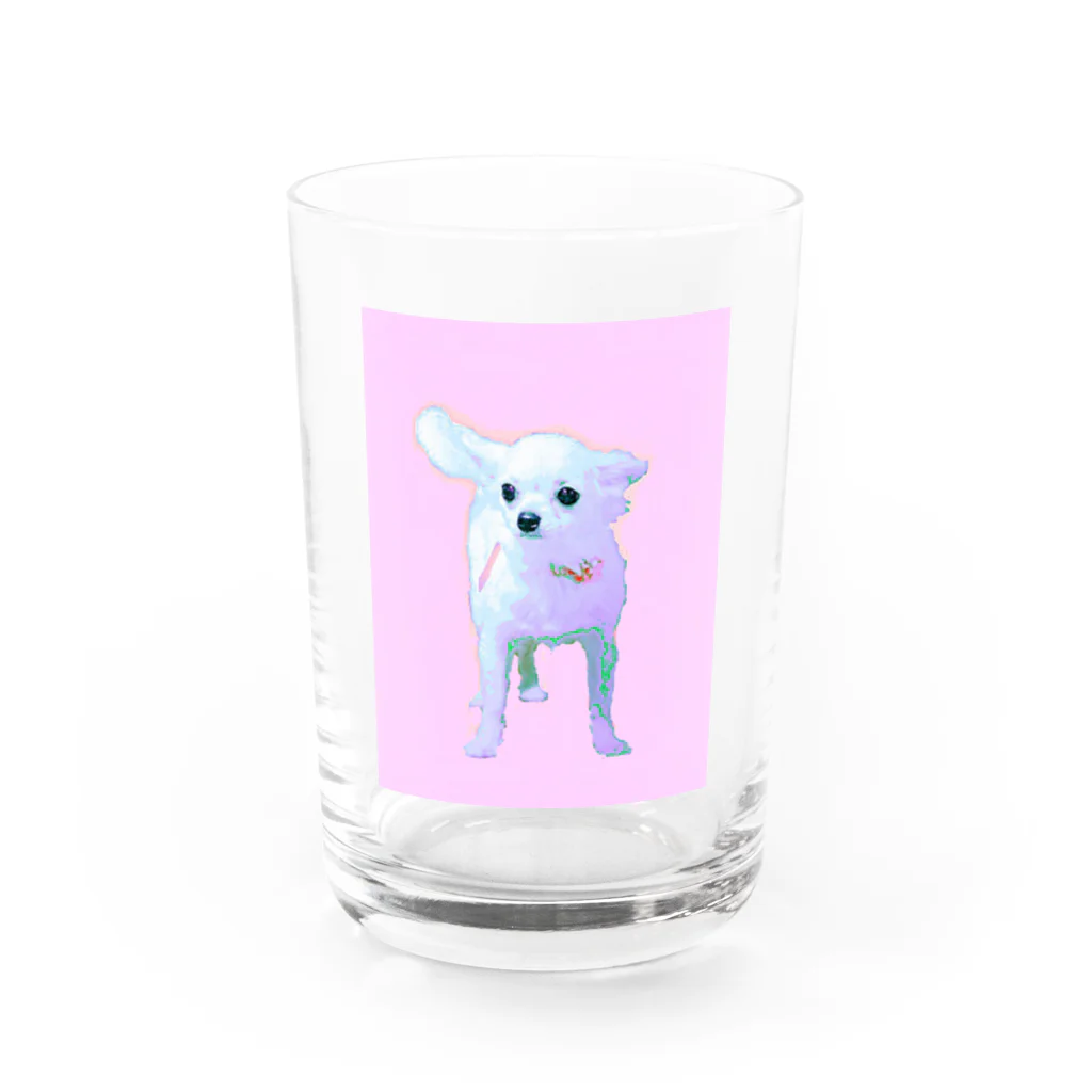 pinkyのチワワ♡ Water Glass :front