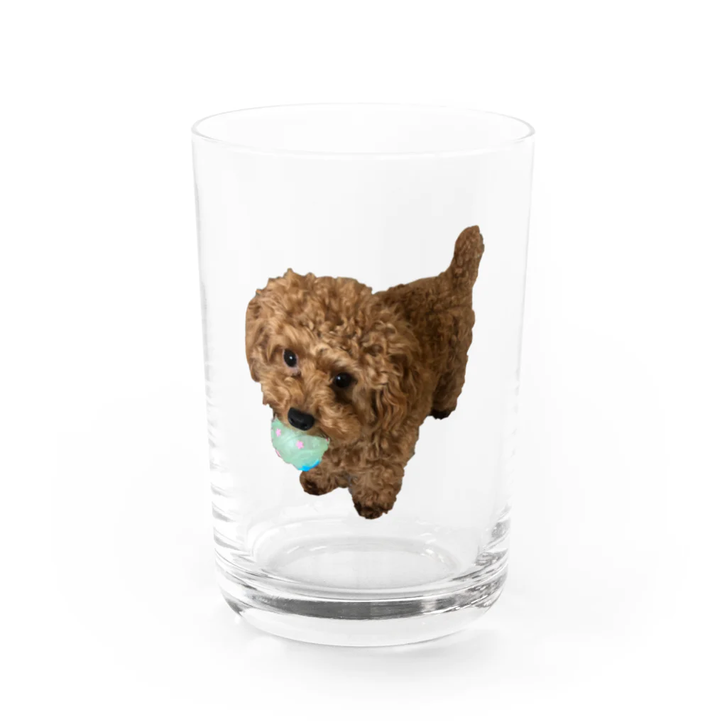 メルちゃんの可愛さを布教するだけのお店の伝説の秘宝を携えし犬 Water Glass :front