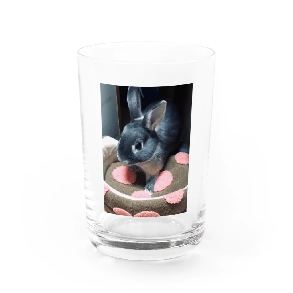 うさぎのお店.のうさぎのPoteo. Water Glass :front