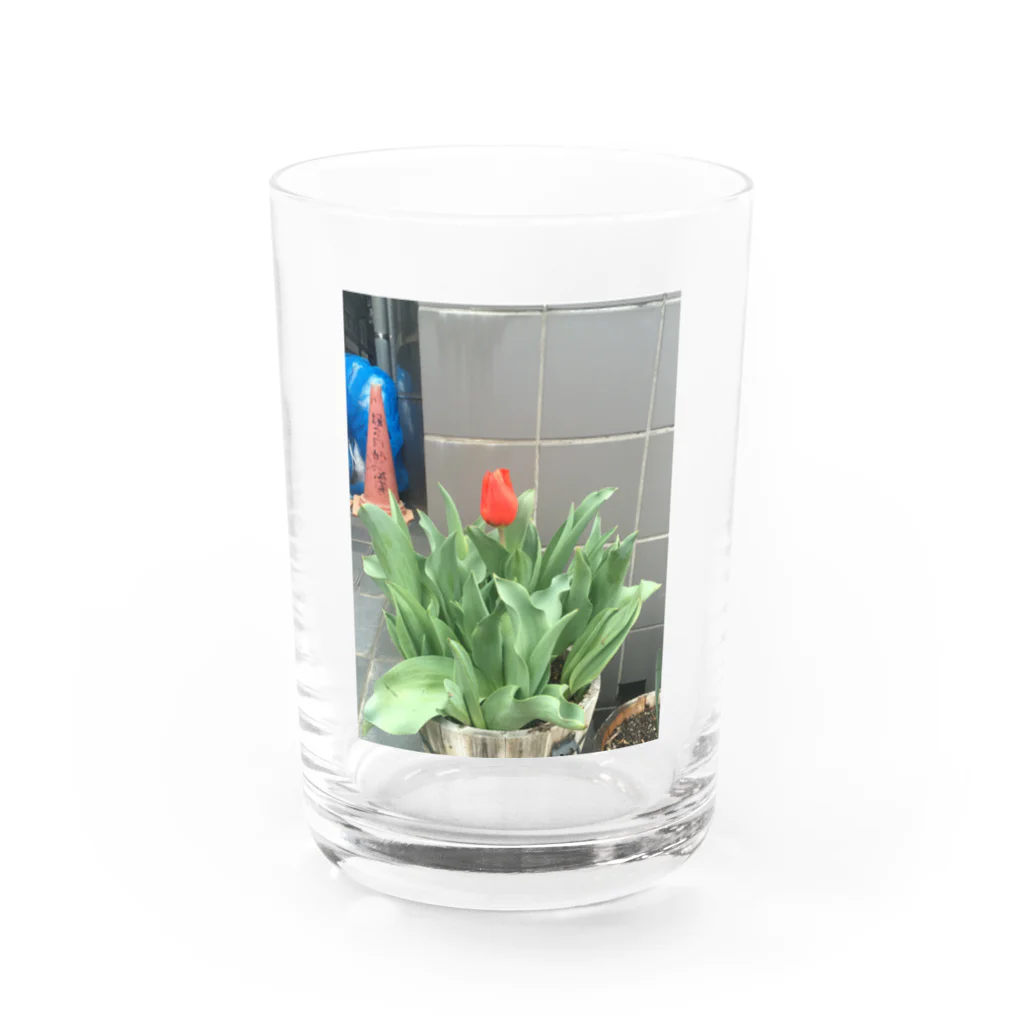 goodbyelastplanetのtulip vacation Water Glass :front