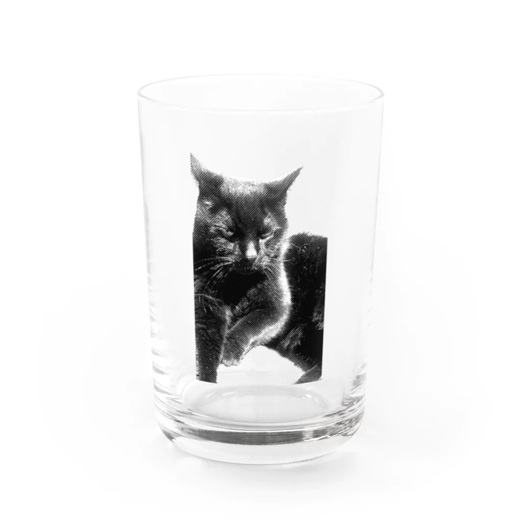 mata▒asita./のneko no meeko Water Glass :front