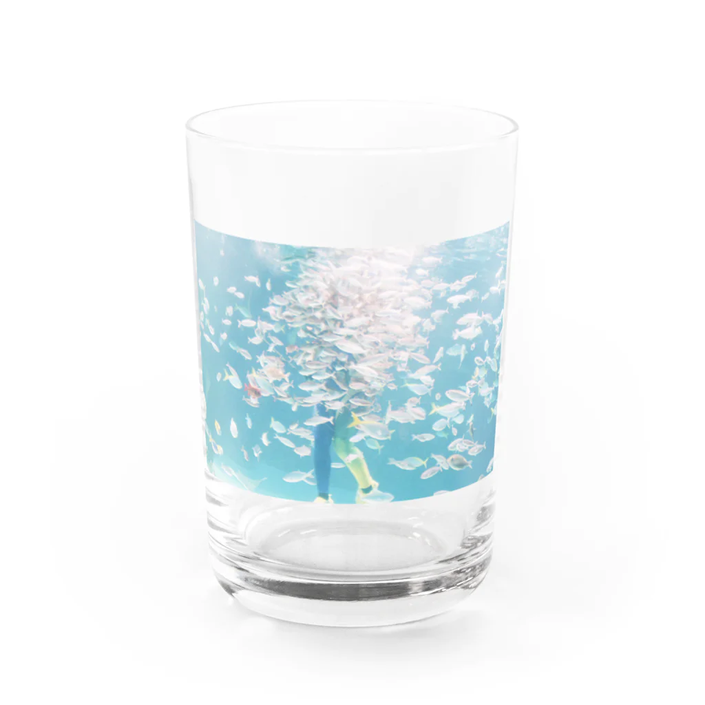 あざらしの水族館 Water Glass :front