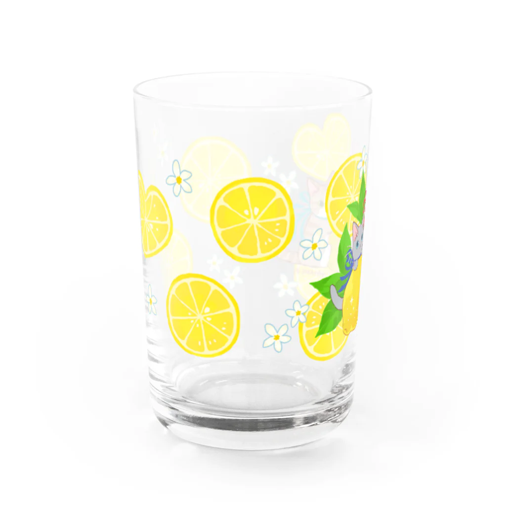 たたメーピーのたたメーピー 〈レモンとにゃんたち🍋🐈〉 Water Glass :front