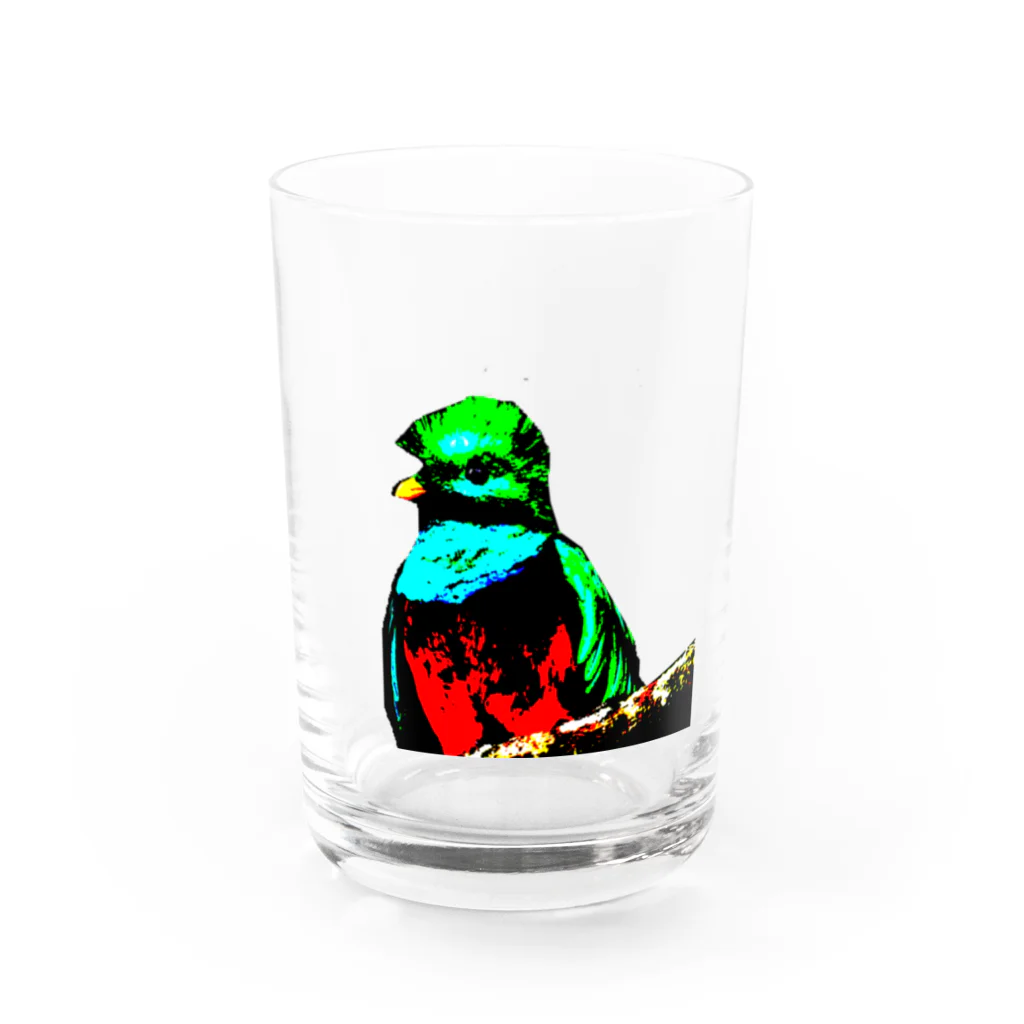 Danke Shoot Coffeeのケツァール Water Glass :front