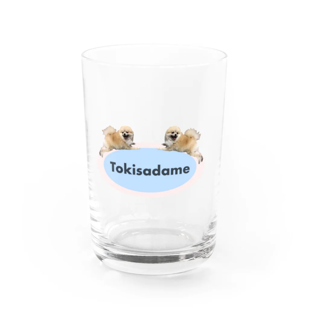 TOKISADAMEの２匹のトーストちゃん Water Glass :front