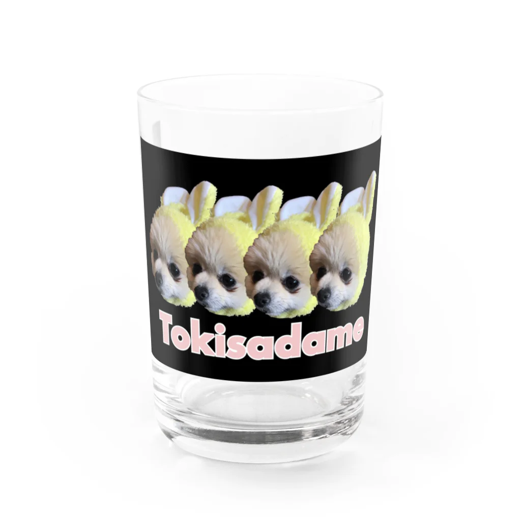 TOKISADAMEの腹黒トーストちゃんグッズ Water Glass :front