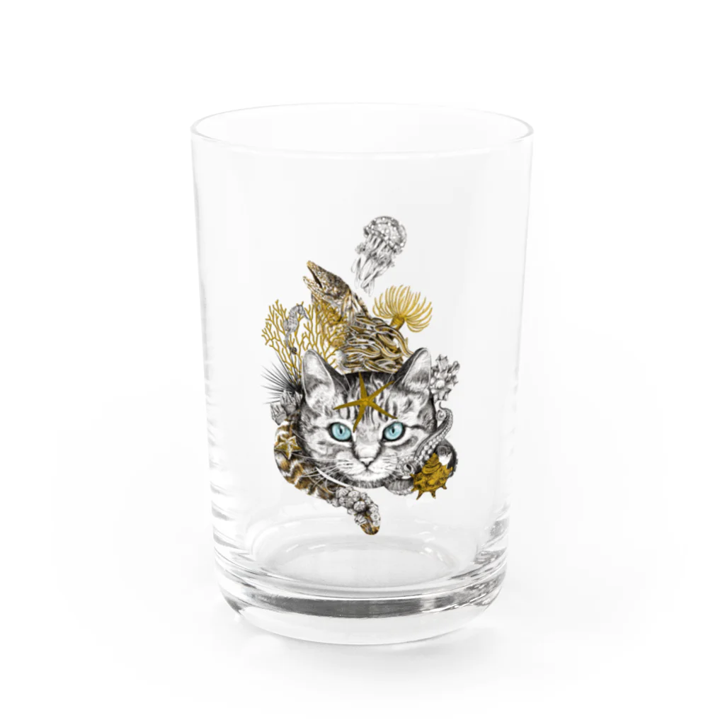 OJIKの磯猫 Water Glass :front