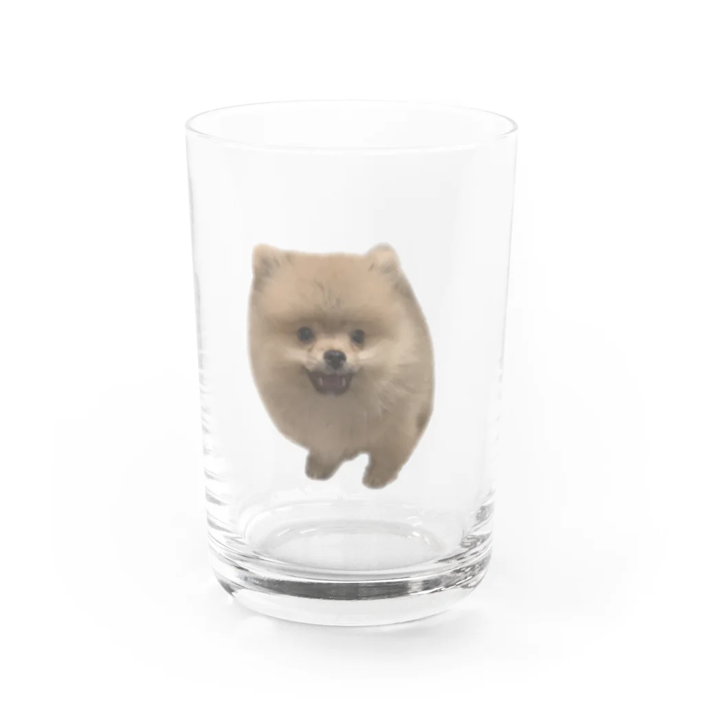 aseaseの忘れられないぜ過去の栄光2(透) Water Glass :front