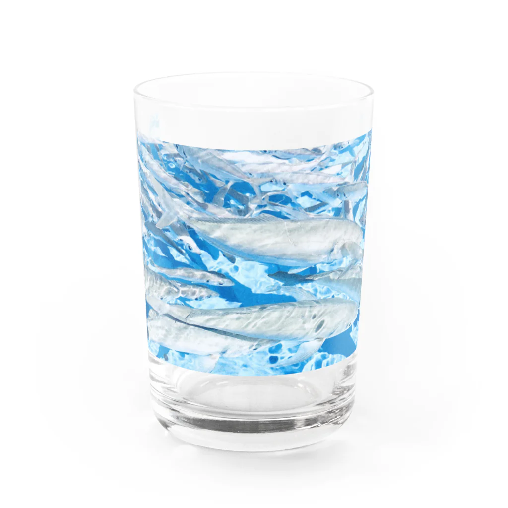 hamの魚影 Water Glass :front