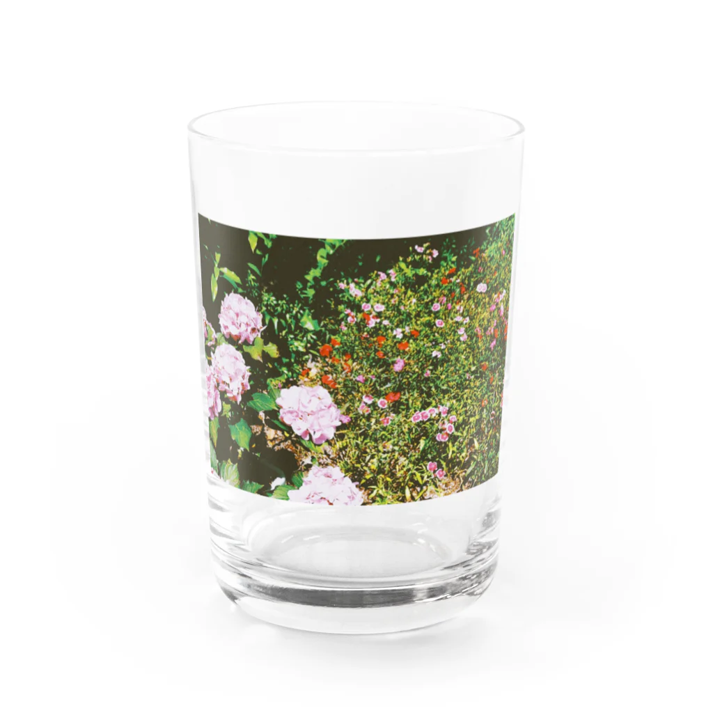 あこがれの花畑2 Water Glass :front