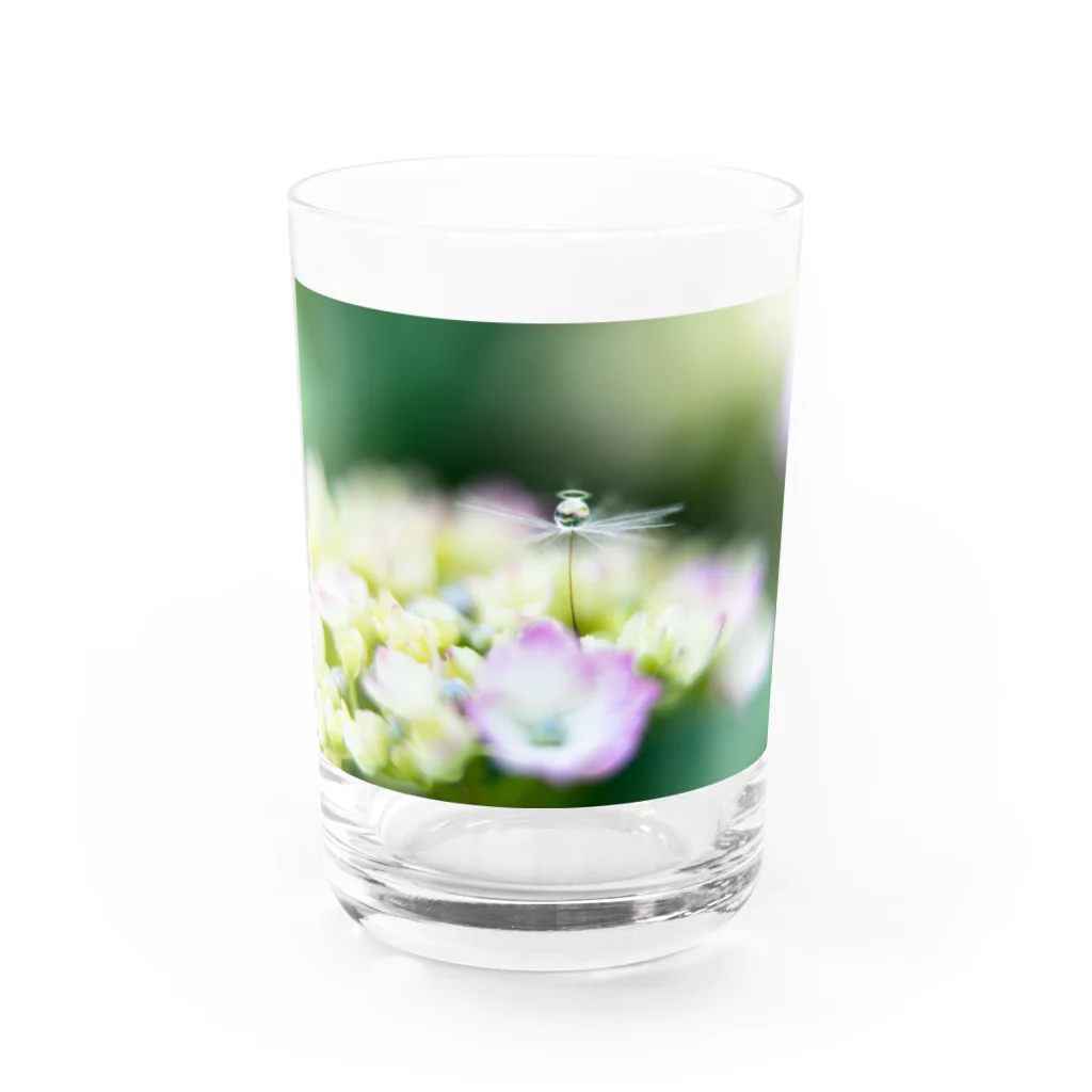 PhotoAtelier Aileのangel of hydrangea 170603 Water Glass :front