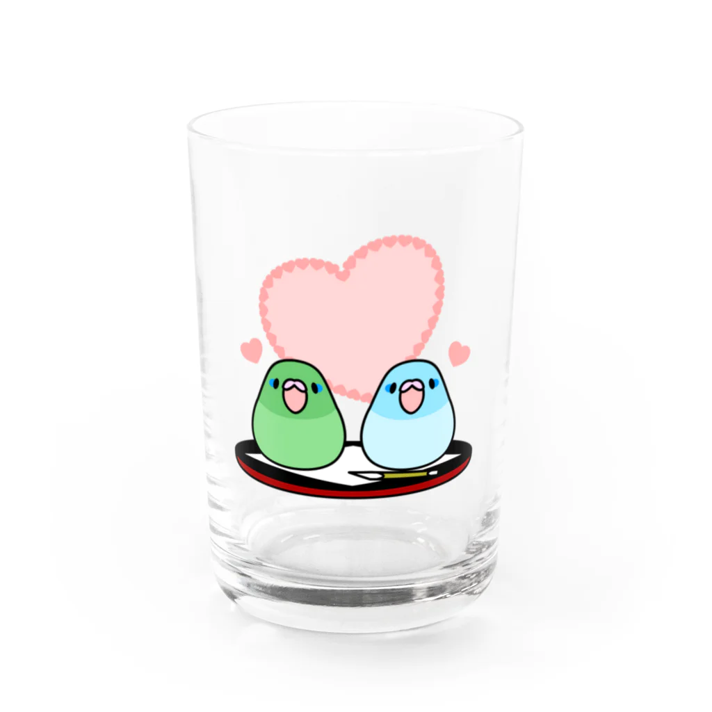 まめるりはことりのまめ大福マメルリハ【まめるりはことり】 Water Glass :front