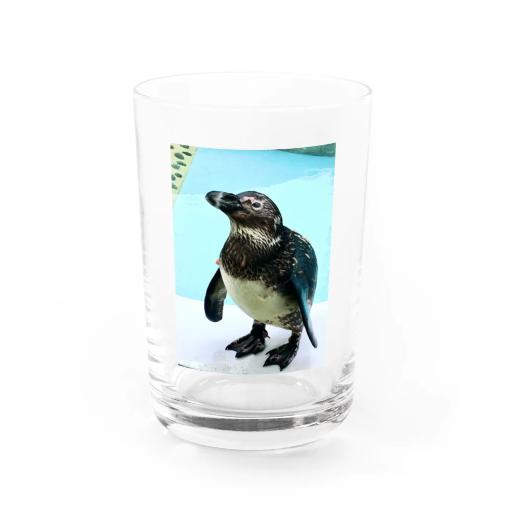 machiko kのエサまちのペンギン Water Glass :front