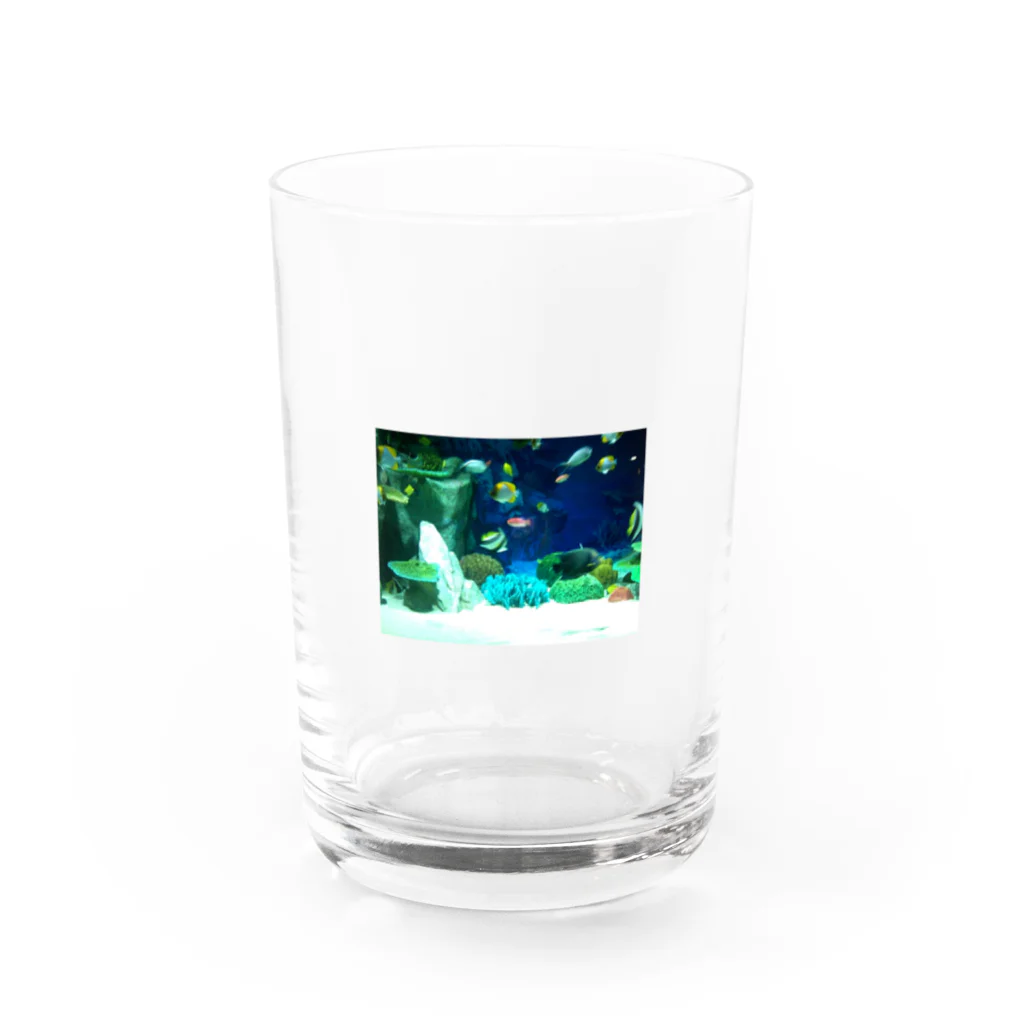 takenokoのアクアリウム Water Glass :front