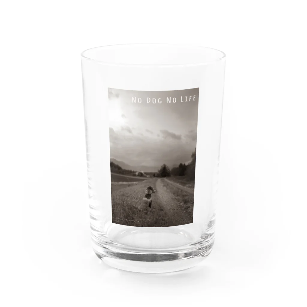 シャンティ　フォトのNo dog No Life/Joy 1 Water Glass :front