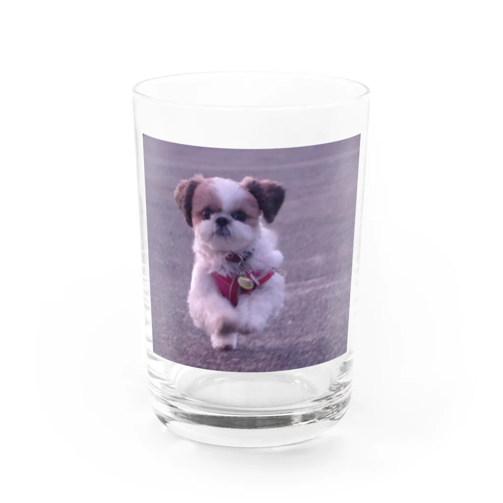 心メロンの心ちゃんグッズ Water Glass :front