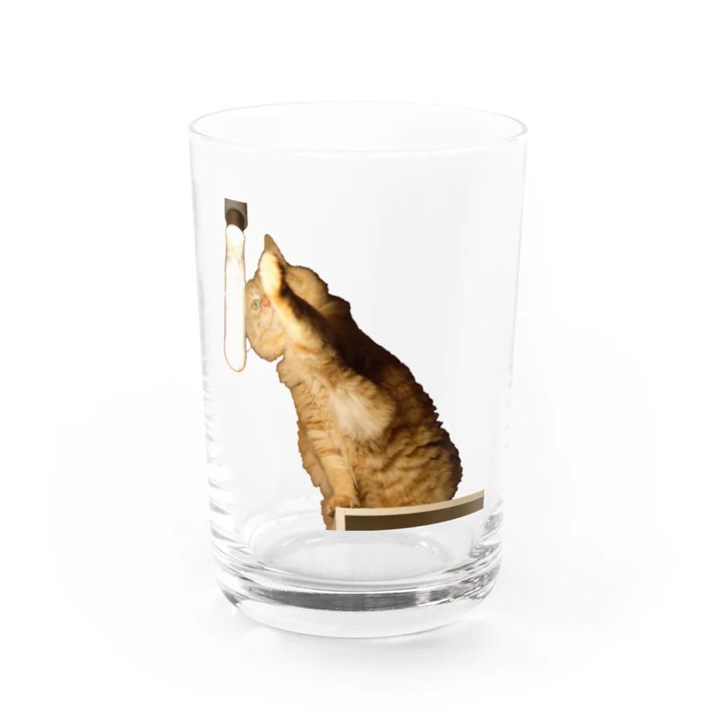 kiichacoの-猫- 左手を暖めるはっさく Water Glass :front