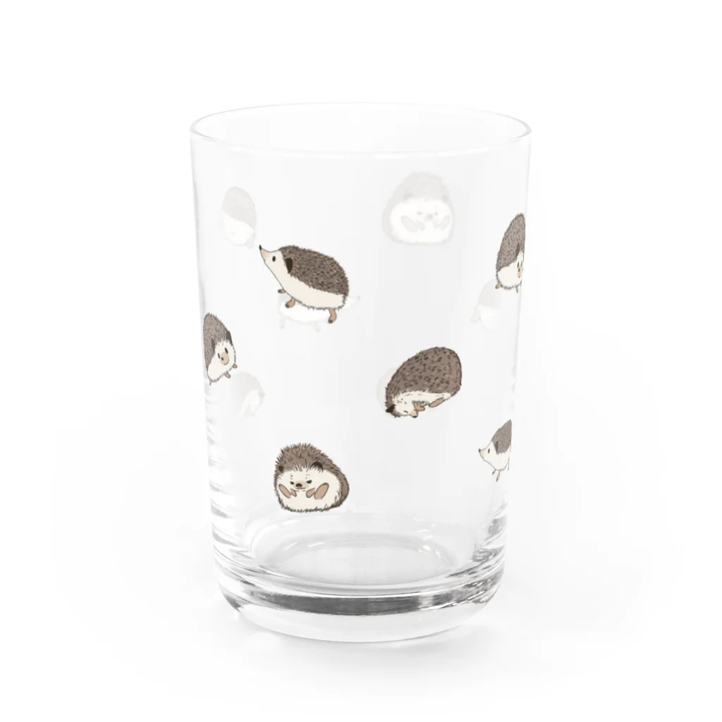 Hanamiのハリネズミいっぱい Water Glass :front