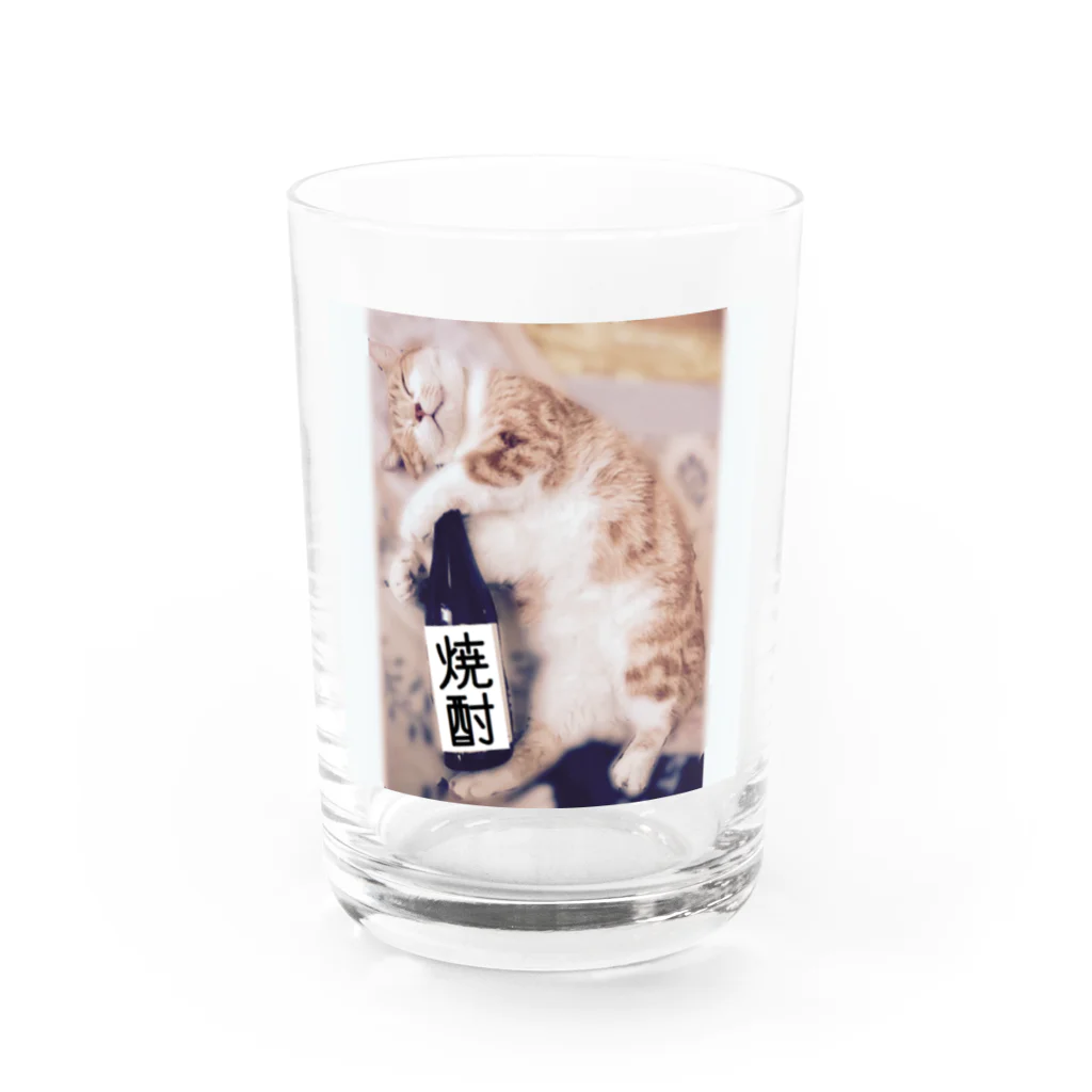 ゆらゆらゆ〜らの焼酎飲み過ぎにゃんこ Water Glass :front