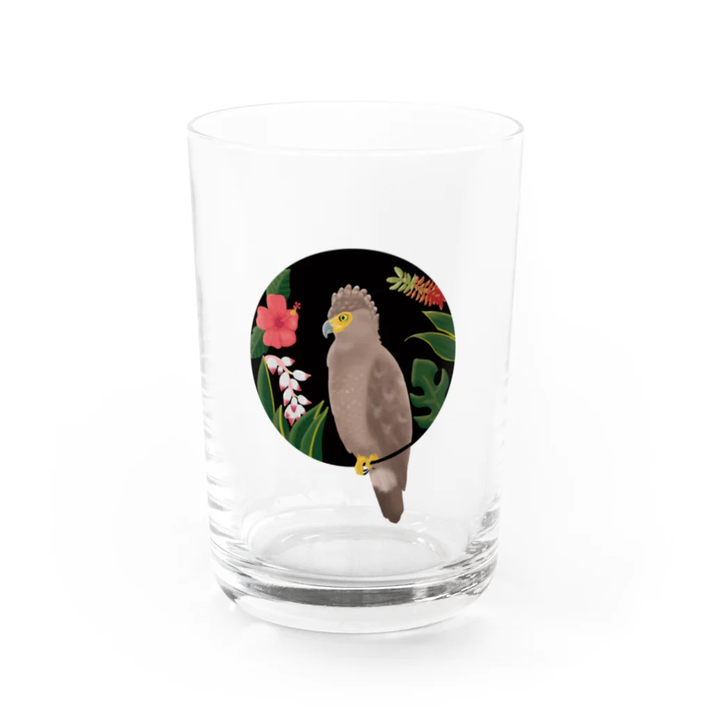 Ichのカンムリワシ / 南国植物シリーズ Water Glass :front