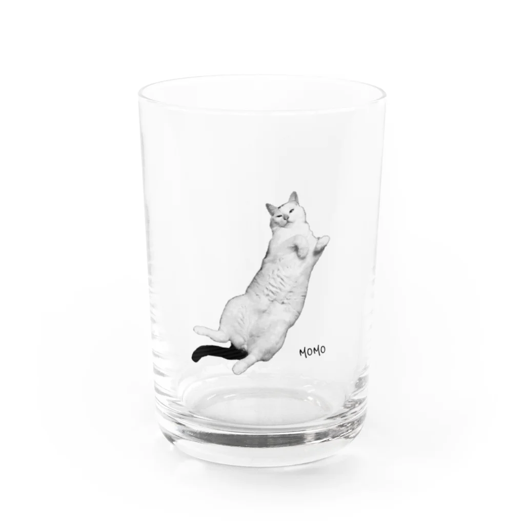 chiicoroのへそ天のモモ Water Glass :front