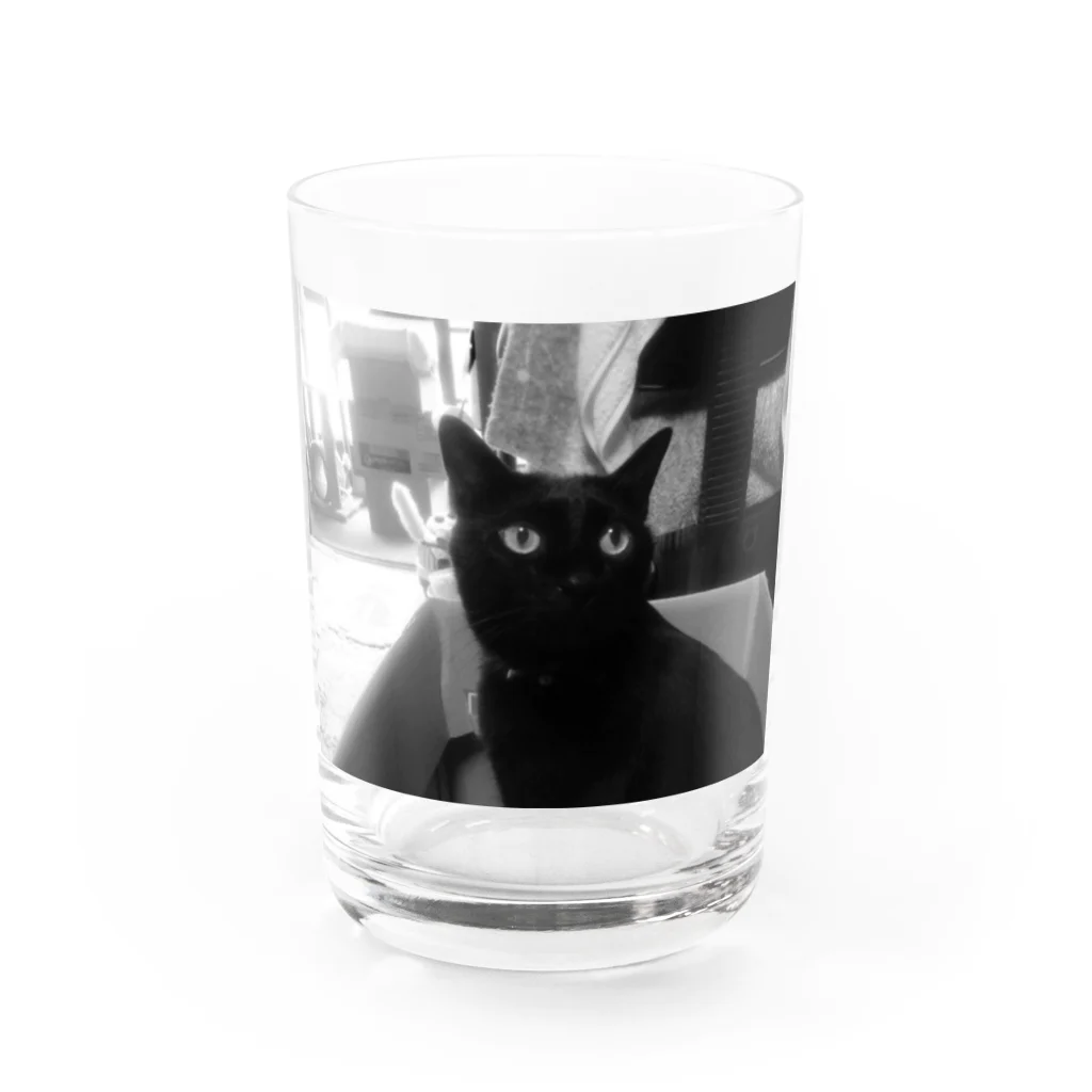 shootingcatのモノクロにゃー！！ Water Glass :front