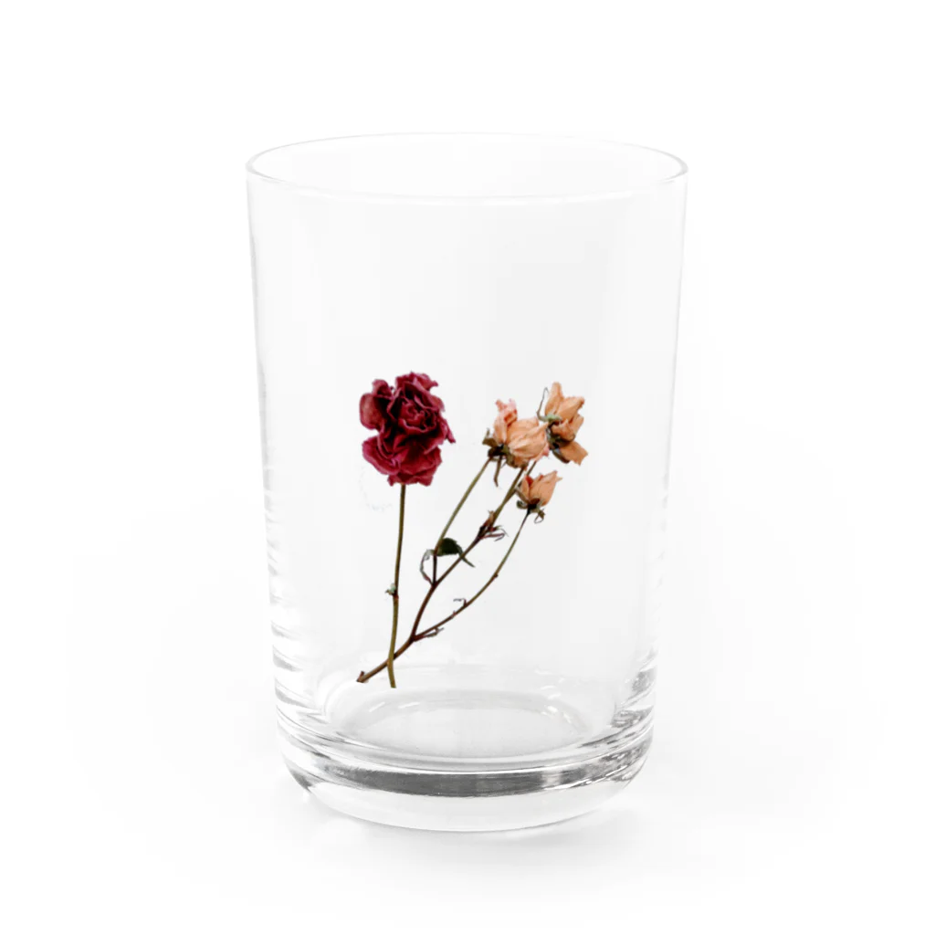 ネコッチ＿k(*´ω｀*)の薔薇 Water Glass :front