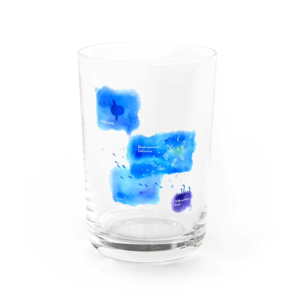 Hi*roomのウリクラゲとマンボウとチンアナゴの四角い海 Water Glass :front