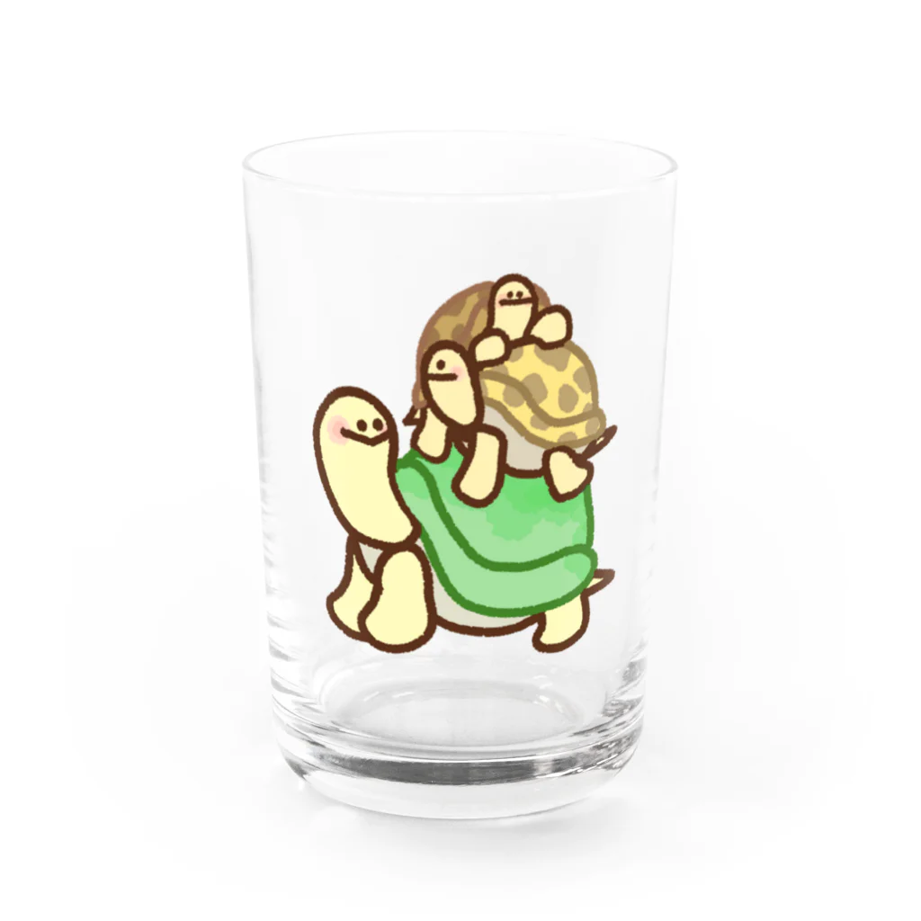 カメちゃん𓆉のカメちゃんトリオ Water Glass :front