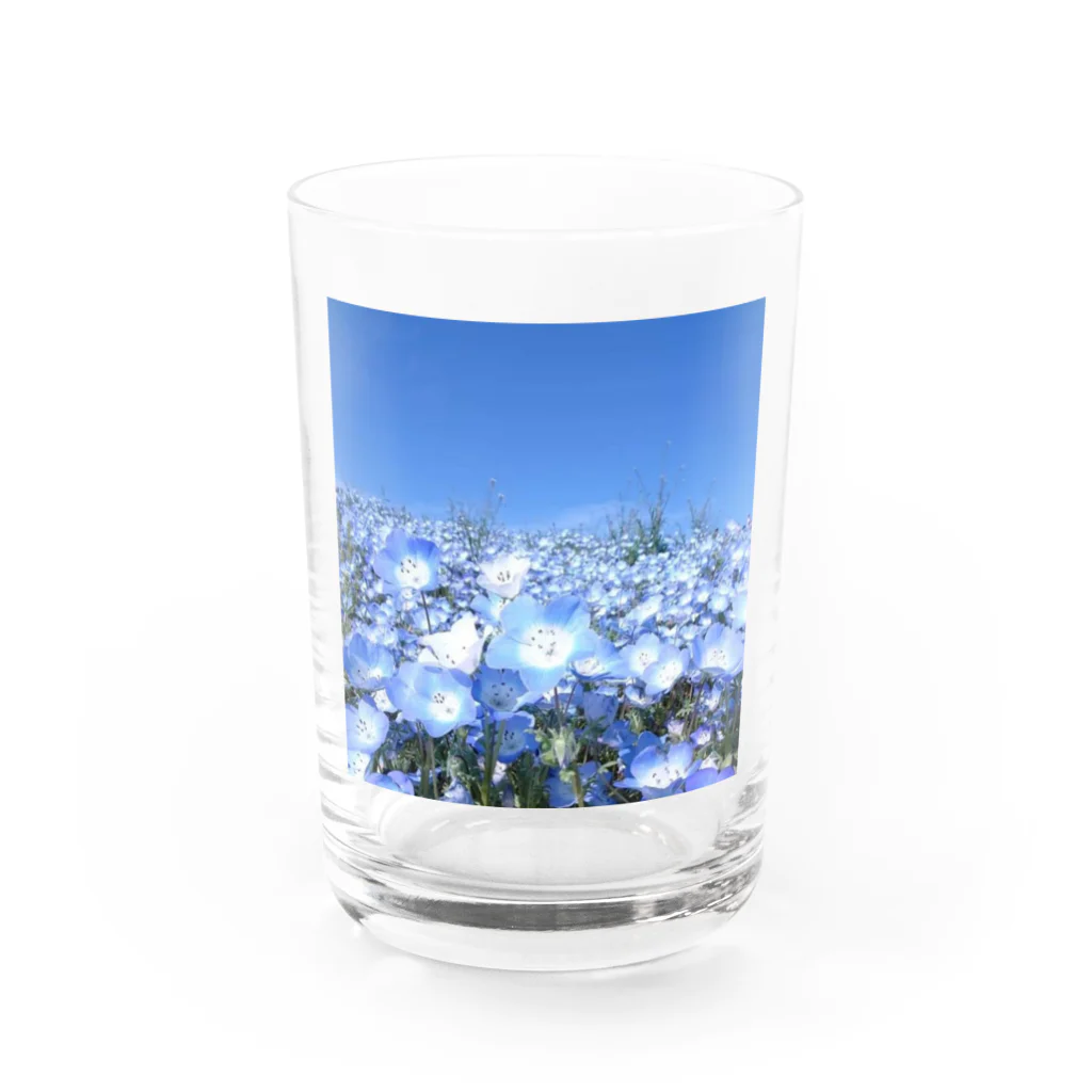 心メロンのネモフィラブルー💙 Water Glass :front
