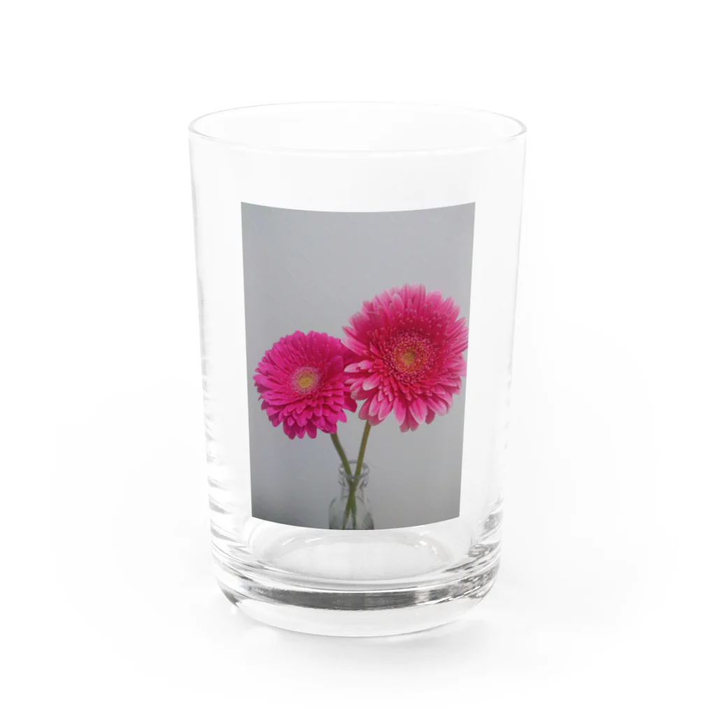 Allium caeruleum アリウム コエルレウムのガーベラ Water Glass :front