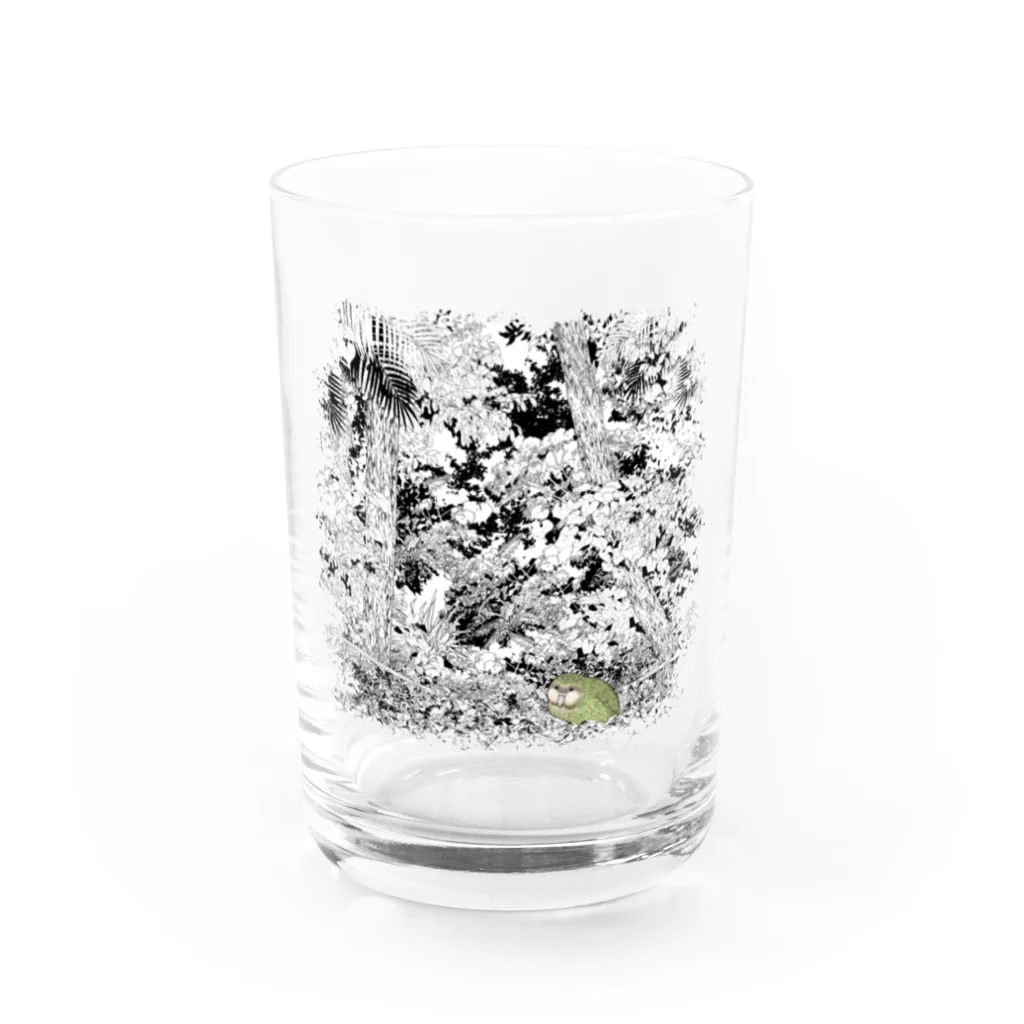 にことめこのフクロウオウム　カカポ iro Water Glass :front