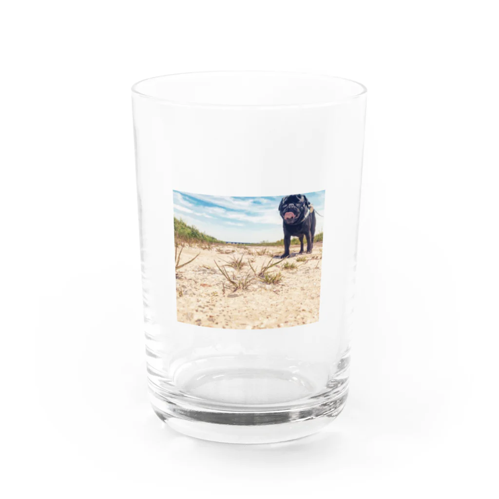 咲月の巨大パグ Water Glass :front