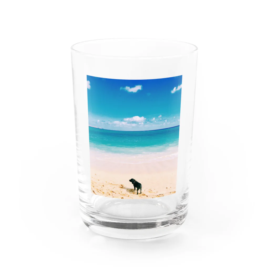 sa__photoのハワイの思い出 Water Glass :front