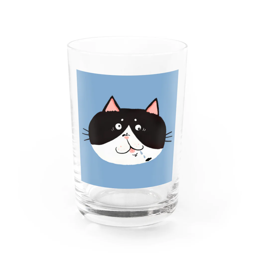 あおた｜猫好きイラストレーターのお茶目ブサカワフェイスの白黒ハチワレ猫 Water Glass :front