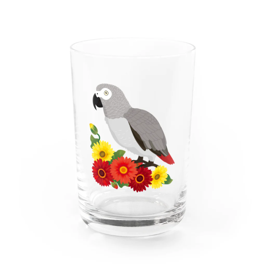 creativeshopのヨウムとガーベラ Water Glass :front