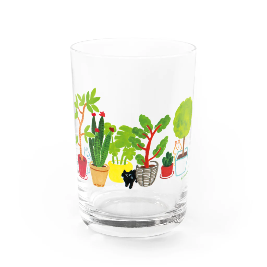 本田亮のshokubutsu Water Glass :front