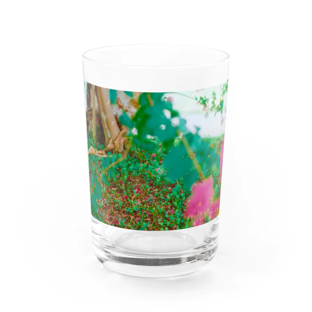 ＊KaO＊イロトリドリの妖精の森 Water Glass :front