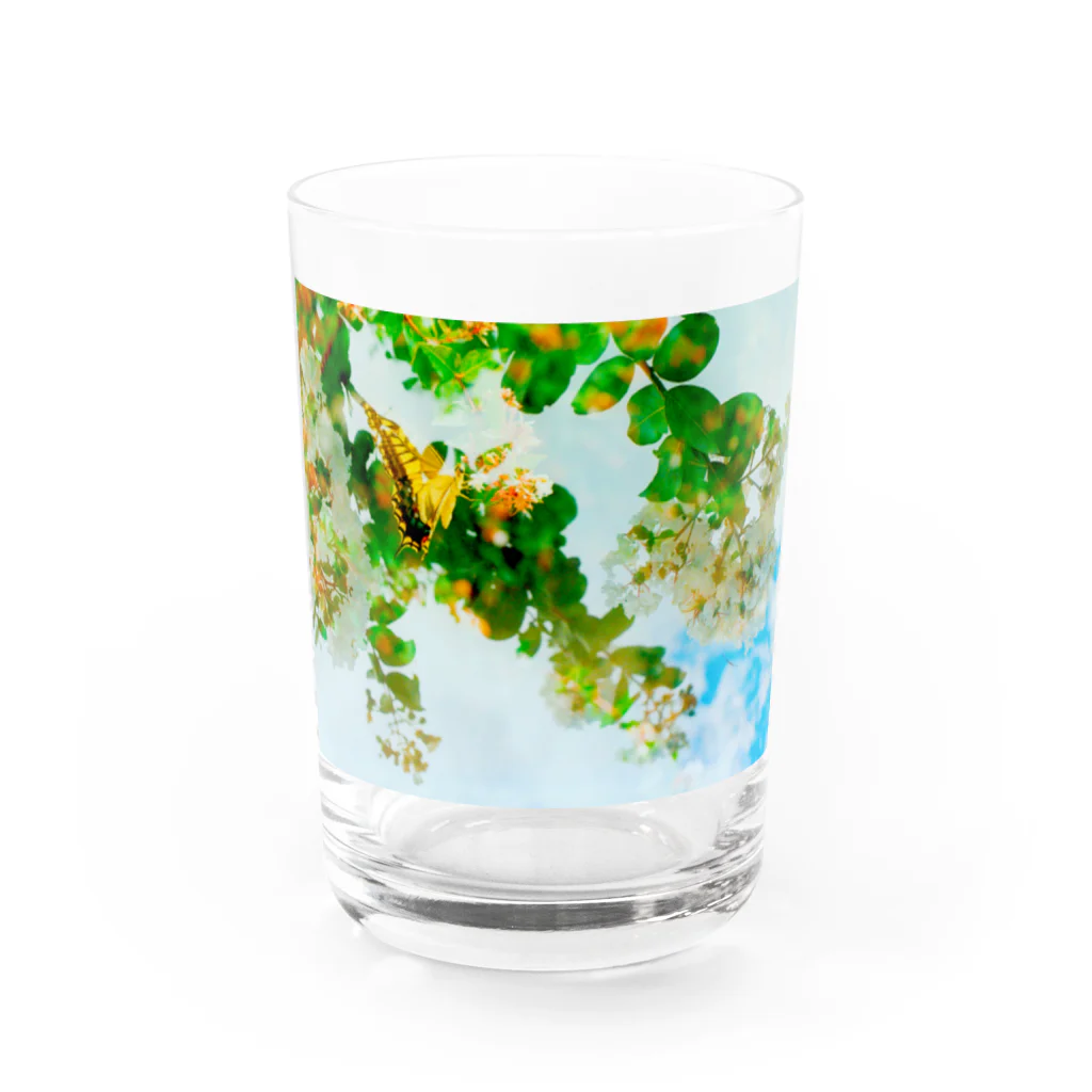 ＊KaO＊イロトリドリのあの空 Water Glass :front