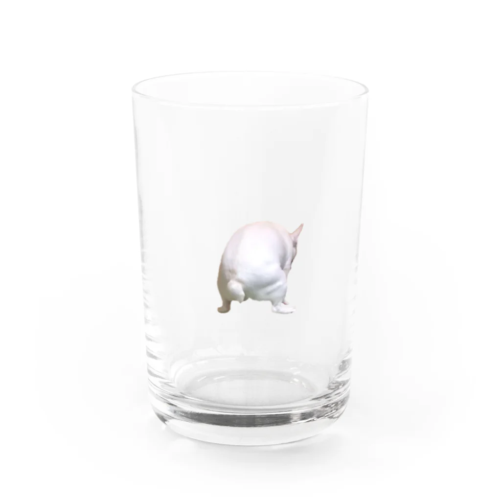 フレンチブルドッグうぱのフレンチブルドッグ Water Glass :front